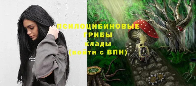 Псилоцибиновые грибы Magic Shrooms  Белинский 